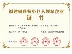 福建省科技小巨人领军企业证书