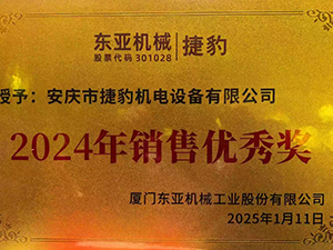 2024年销售优秀奖